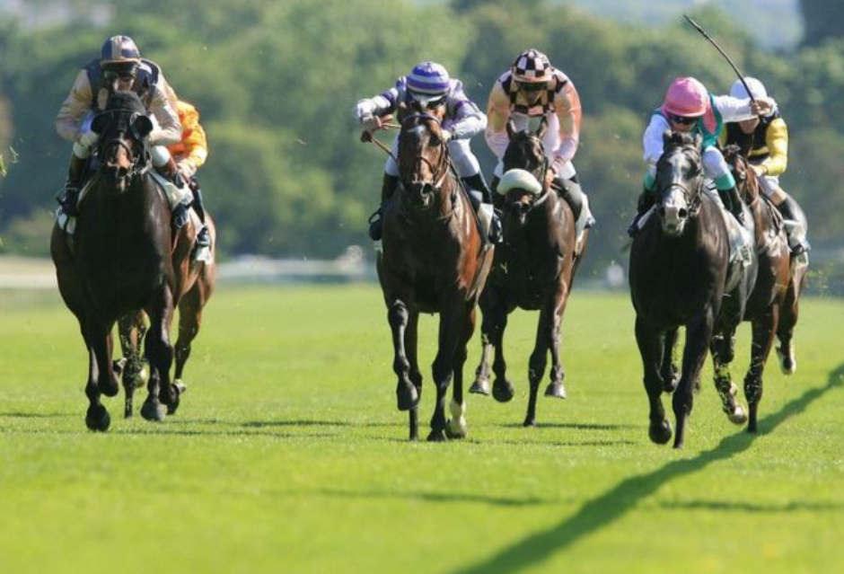 france turf vip || franceturfvip